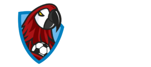 Liga Nacional de Honduras | En Vivo – Mira En Vivo Todos Los Partidos